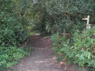 Photo of bridleway
